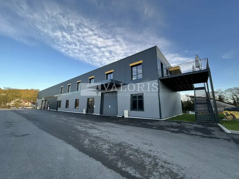 A louer Locaux d'activité 556m² Albigny-sur-Saône