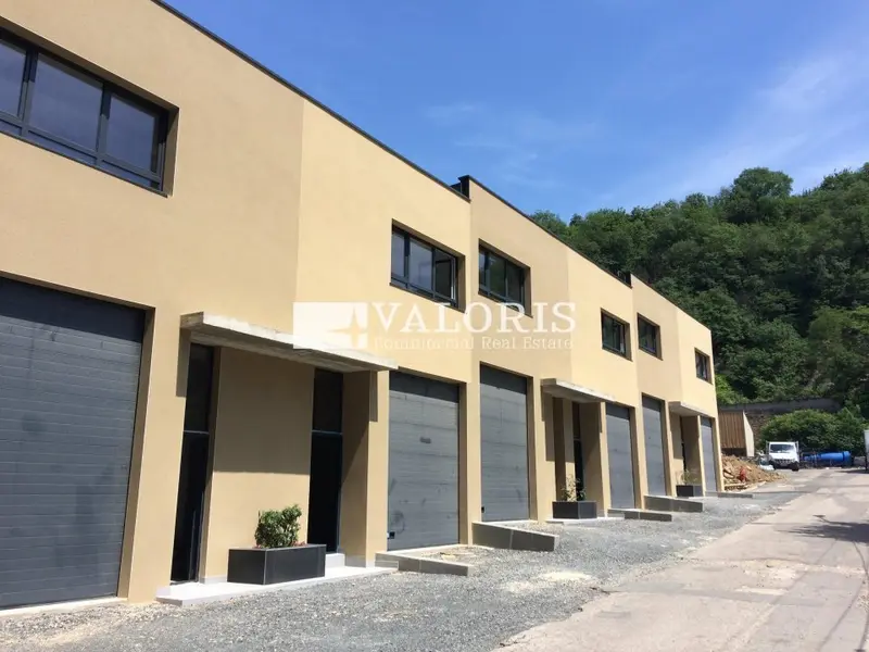 A louer Locaux d'activité 1042m² Albigny-sur-Saône