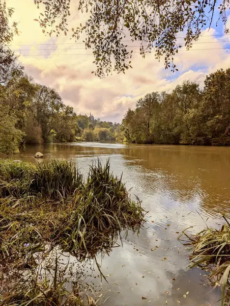 Fonds de commerce à vendre - Hôtellerie - (49130) - 600 000 €