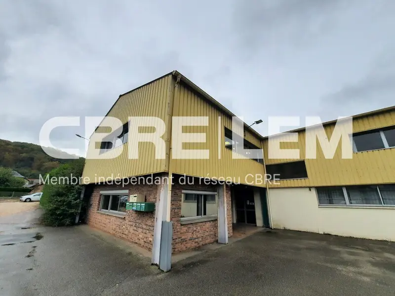 CUR DE VILLE.