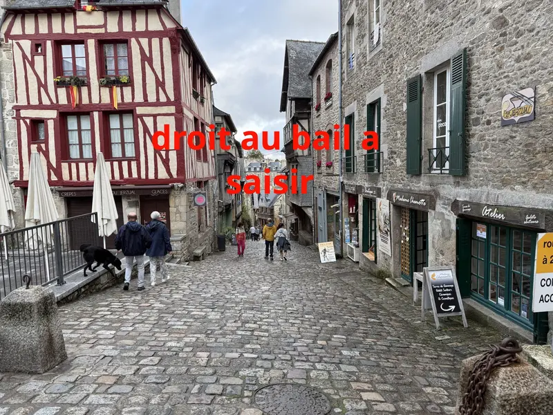 DROIT AU BAIL