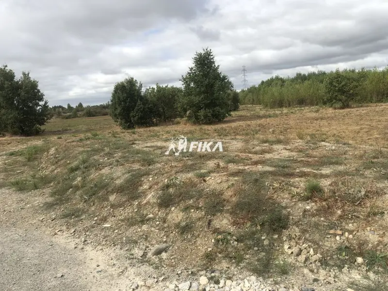 A VENDRE TERRAIN 10 000 m² - (31600) MURET