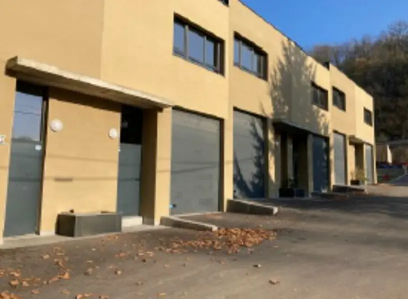 A louer Locaux d'activité 1877m² Albigny-sur-Saône