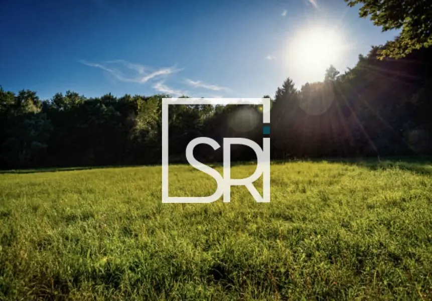 EMPLACEMENT N°1 - VENTE TERRAIN 14 000 m²  - 03300 CUSSET