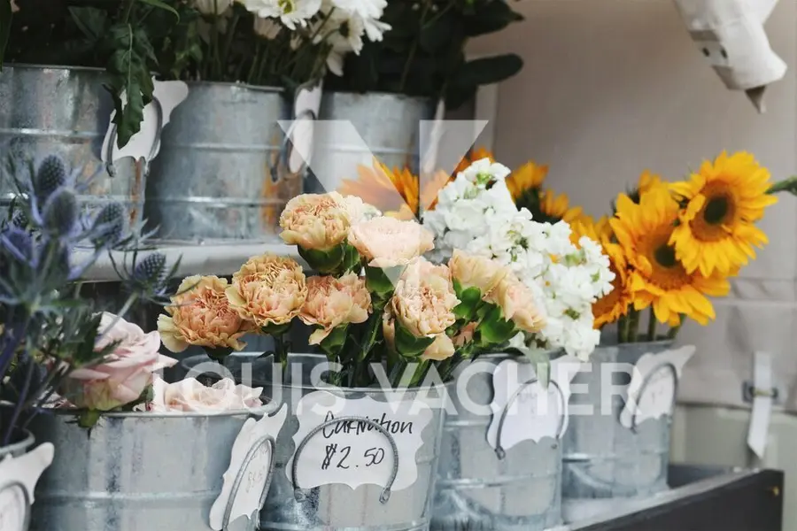 Saint-Seurin - Cession de droit au bail - Bordeaux