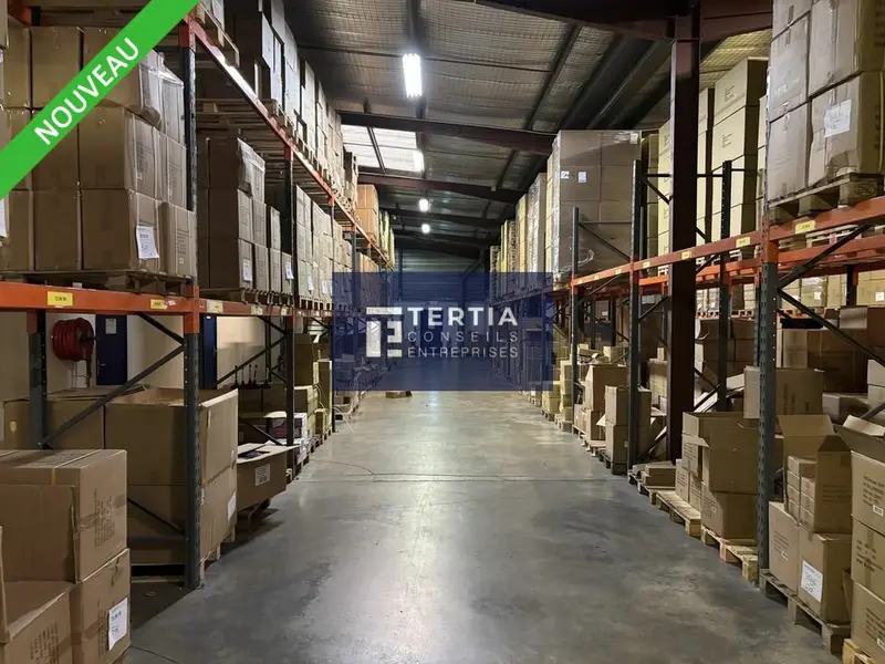 MTP SUD - LOCAUX D'ACTIVITES AVEC QUAIS A LOUER