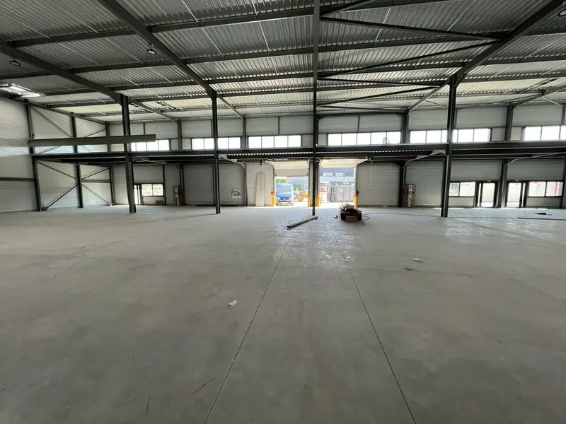 Cellules d'activité neuves