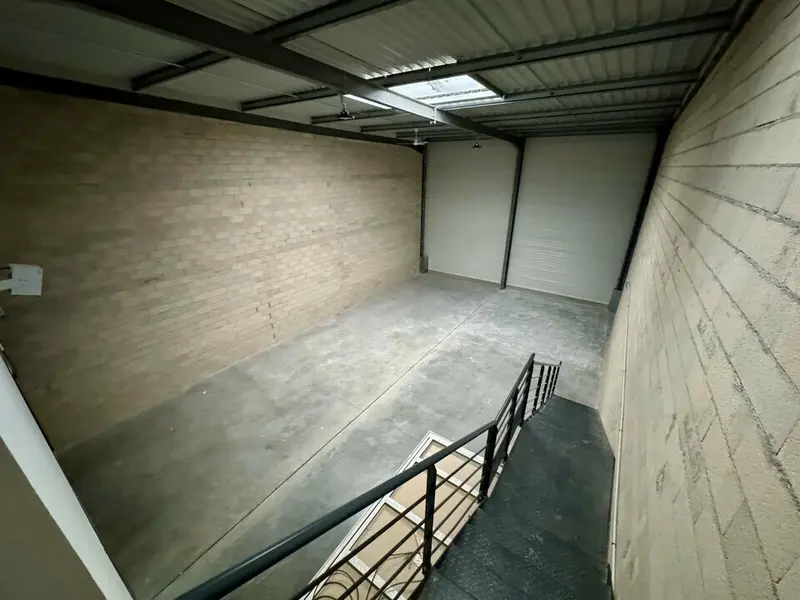 Cellules d'activité neuves