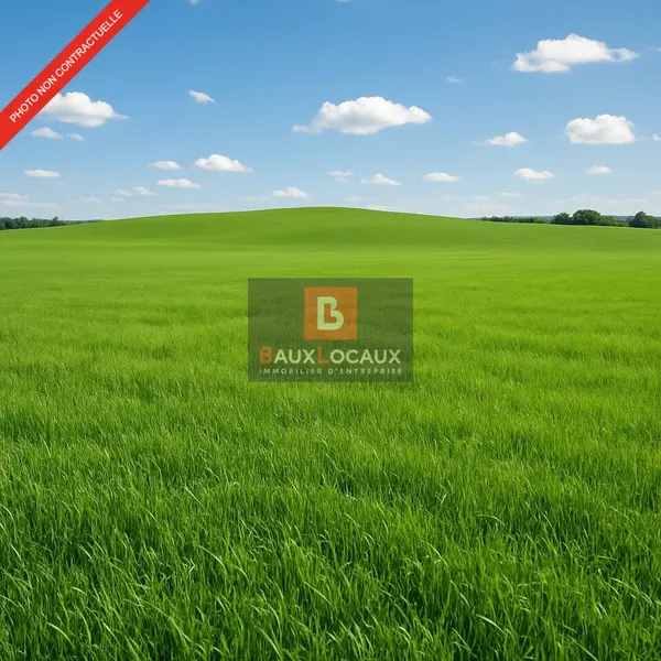 A VENDRE terrain de 6870 m2 constructible sur Fos sur Mer