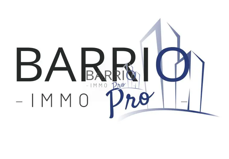 SAINT CYPRIEN PORT - Murs Commerciaux