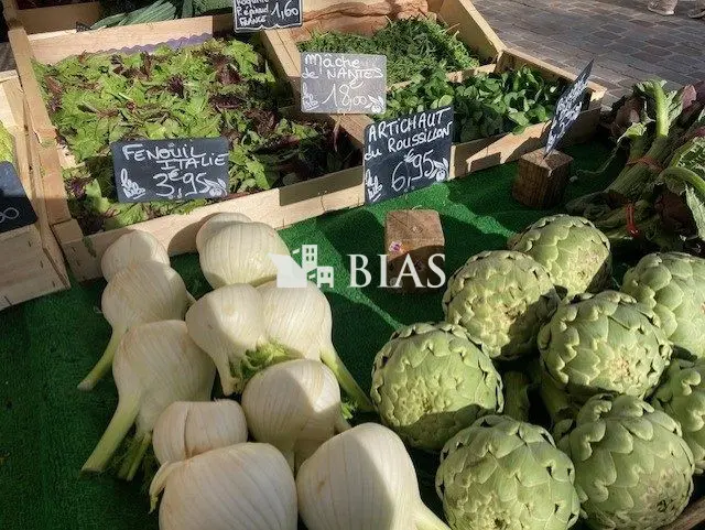 Fruits et légumes marché de rue
