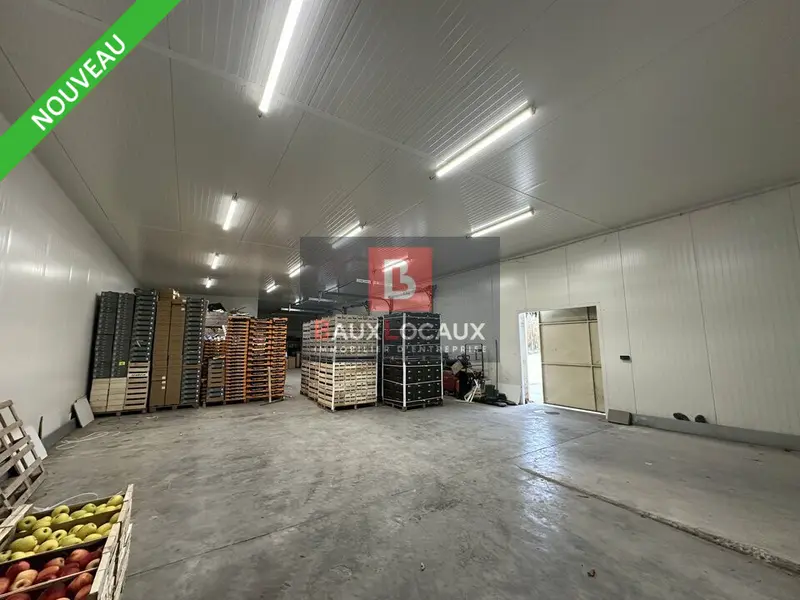 A vendre Locaux d'activité 1750m² Noves