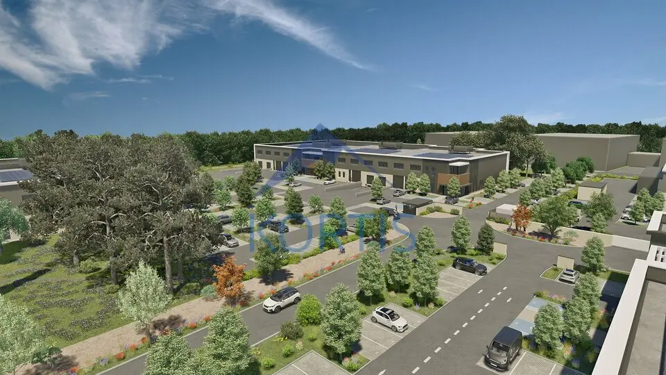 Entrepôt / Activité à louer - Décines-Charpieu (69150) - 6718 m² - 70 539 €/mois