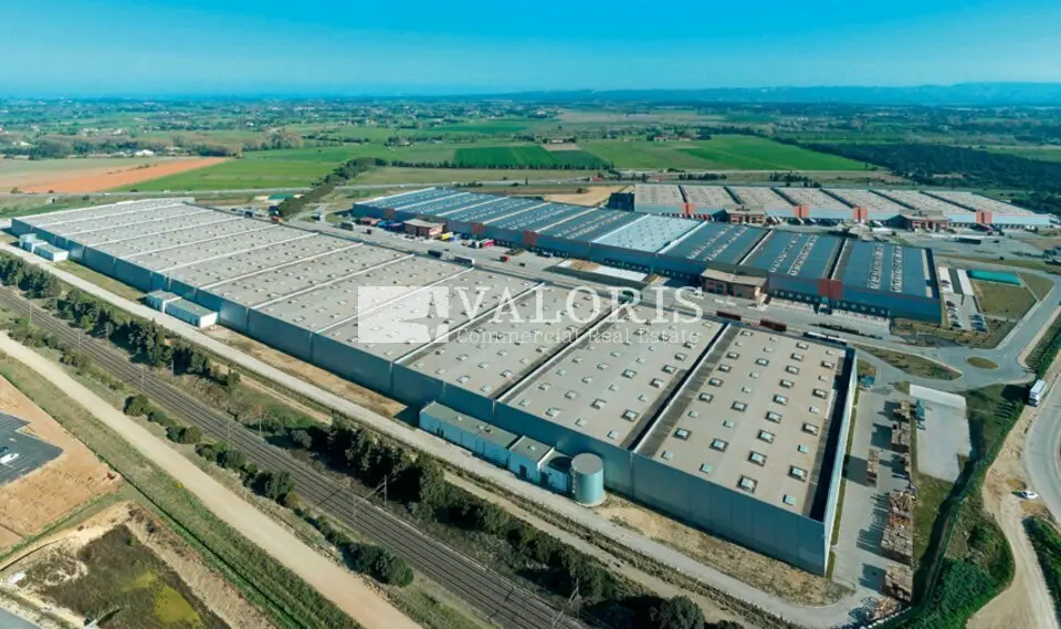 Entrepôt / Activité à louer - Saint-Martin-De-Crau (13310) - 5531 m²