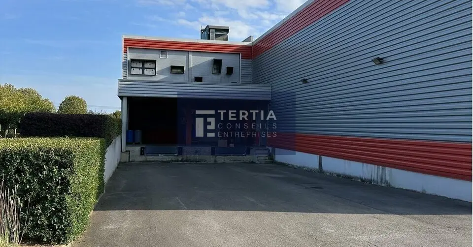 Entrepôt / Activité à louer - Lunel (34400) - 3670 m² - 29 166 €/mois