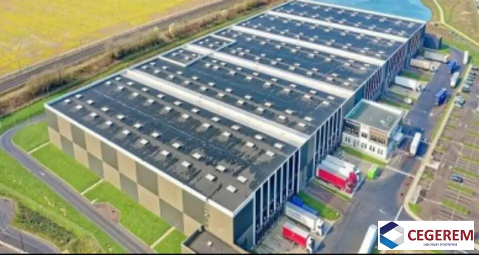 Entrepôt / Activité à louer - Servon (77170) - 6280 m² - 34 016 €/mois