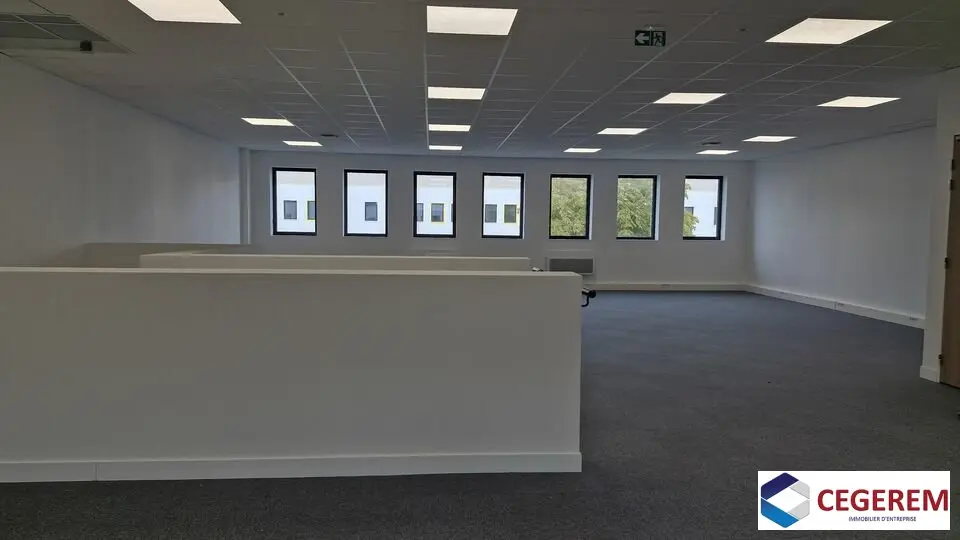 Entrepôt / Activité à louer - Fresnes (94260) - 342 m² - 4 845 €/mois