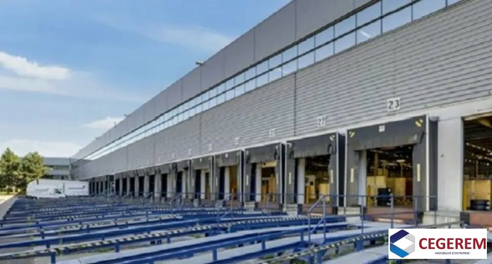 Entrepôt / Activité à louer - Bussy-Saint-Georges (77600) - 17159 m² - 100 09...