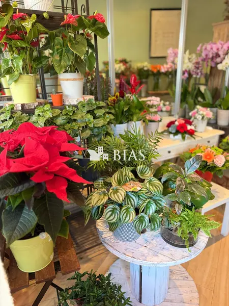 Fonds de commerce à vendre - Boutiques spécialisées - Antony (92160) - 48 000 €